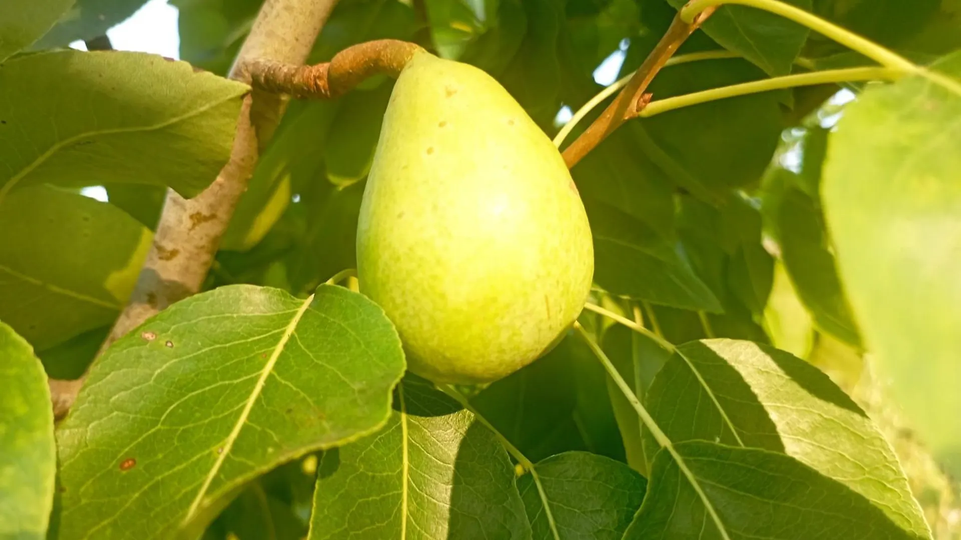Affittacamere Sa Stella E Monti Marrùbiu Casa di campagna